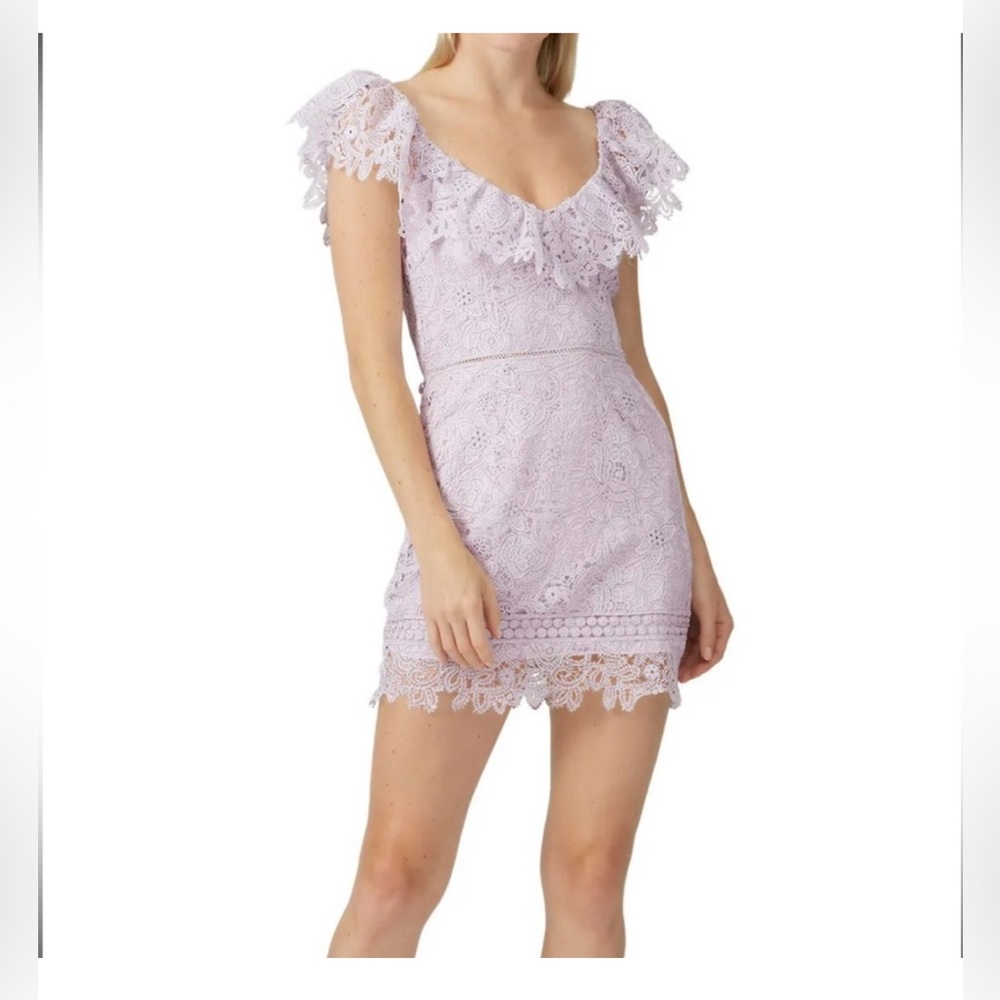 Saylor Lilac Lace Purple Dress Size Medium - Picture 3 of 13